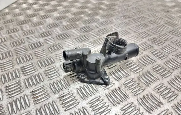 Thermostat/thermostat housing
