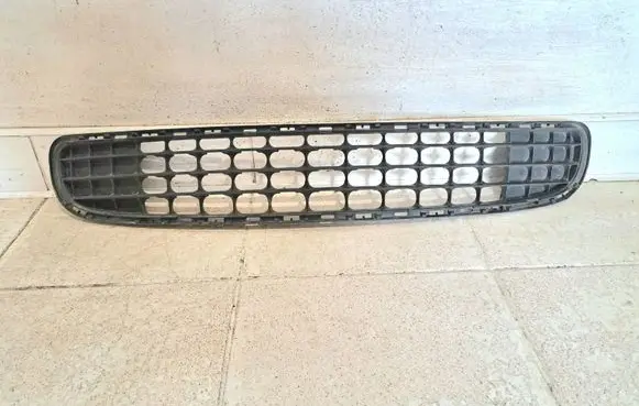 Mini Cooper Countryman R60 Front bumper lower grill 11460913