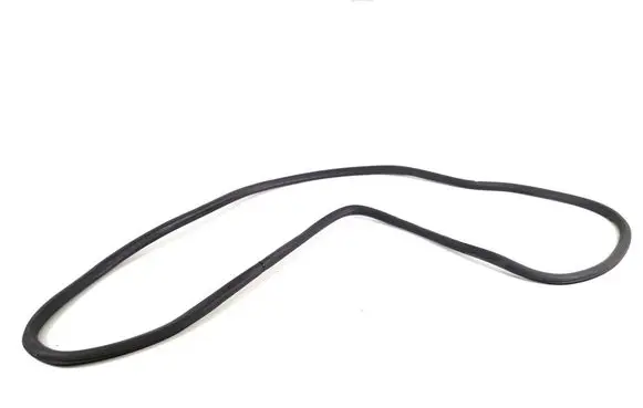 Opel Ampera- E Front door rubber seal 