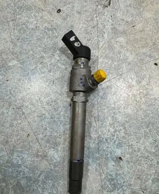 Land Rover Range Rover Sport L320 Fuel injector 