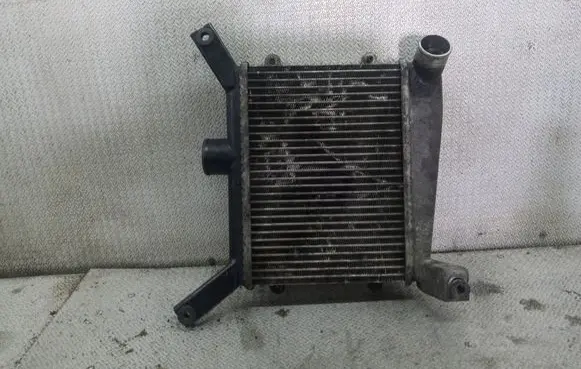 Toyota RAV 4 (XA20) Intercooler radiator