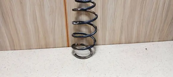 Opel Vectra C Front coil spring 
