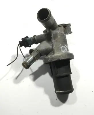 Thermostat/thermostat housing