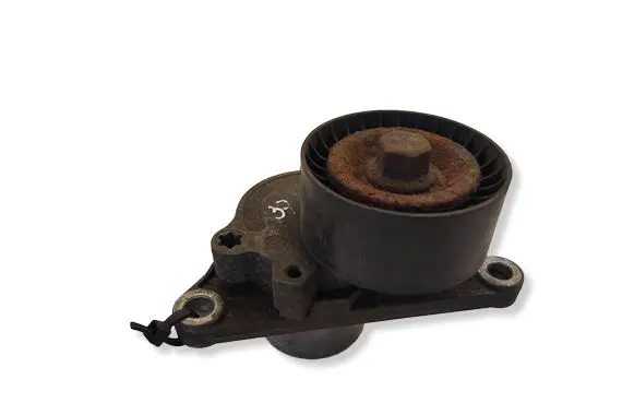 Nissan Qashqai Generator/alternator belt tensioner 8200357406
