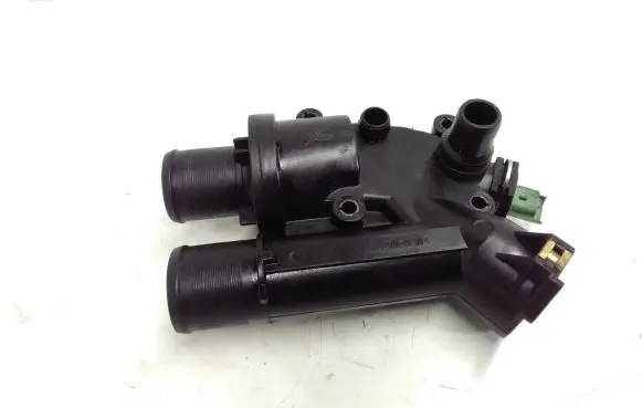 Thermostat/thermostat housing