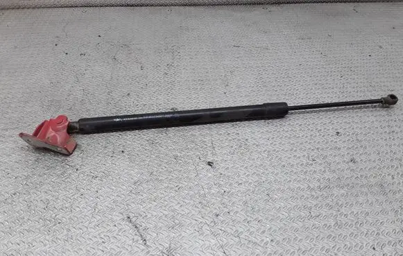 Renault Modus Tailgate/trunk strut/damper 8200219322