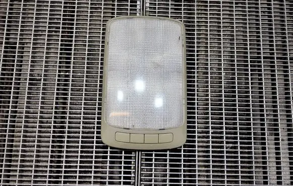 Nissan Elgrand Rear seat light 160-24825