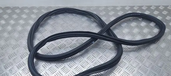 Volkswagen e-Golf Front door rubber seal 5GE867911B