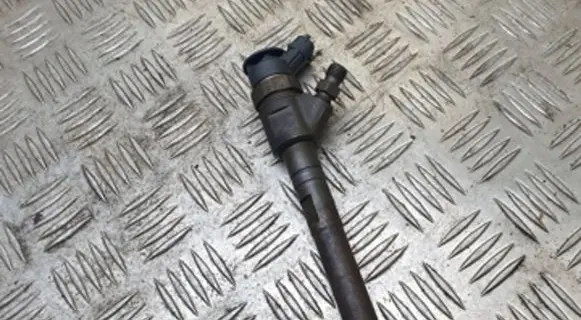 Citroen C4 I Picasso Fuel injector 0445110297