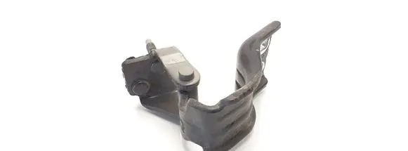 Volkswagen PASSAT B6 Tailgate/trunk/boot hinge 3C9827302D