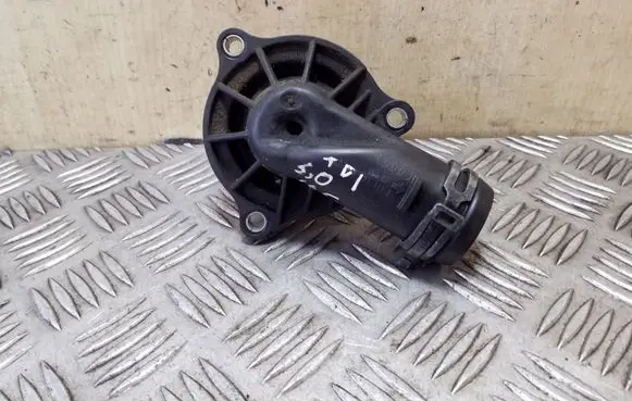 Thermostat/thermostat housing