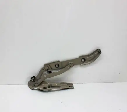 Tailgate/trunk/boot hinge