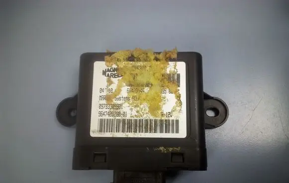 Peugeot 307 Other control units/modules 964742828001 09733309901