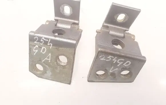 Peugeot 607 Rear door hinge set 