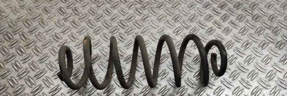 Rear coil spring