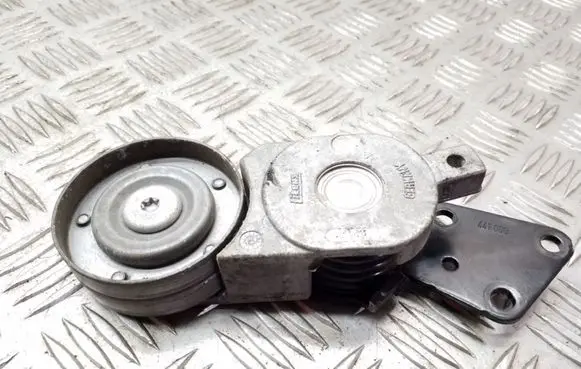 Skoda Fabia Mk1 (6Y) Generator/alternator belt tensioner