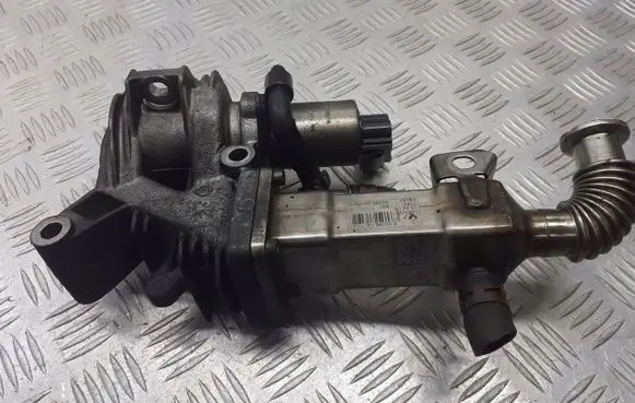 Renault Scenic II - Grand scenic II EGR valve cooler 8200463548