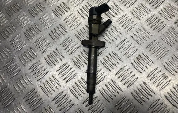Renault Espace - Grand espace IV Fuel injector 8200084534