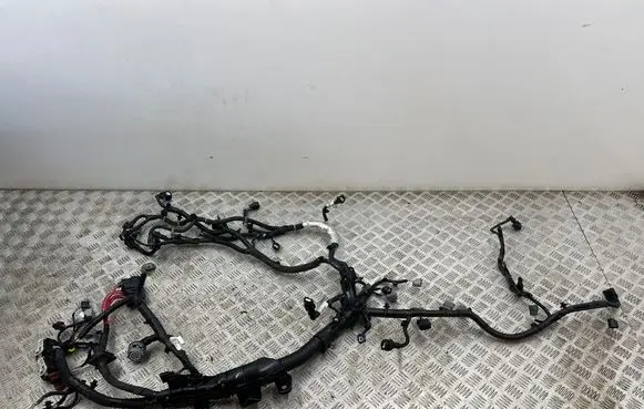 Renault Captur II Engine installation wiring loom 240113663S D0121D0253