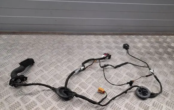 Audi A4 S4 B9 Rear door wiring loom 8W0971687AD