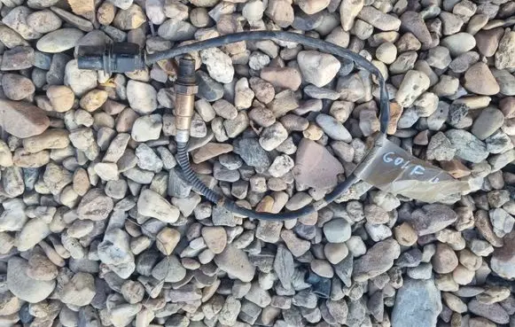 Volkswagen Golf Plus Lambda probe sensor 03G906262A