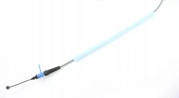 Rear door cable line