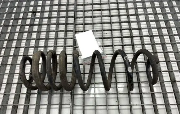 Ford Ecosport Rear coil spring 