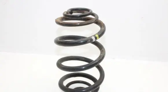 Renault Trafic III (X82) Rear coil spring