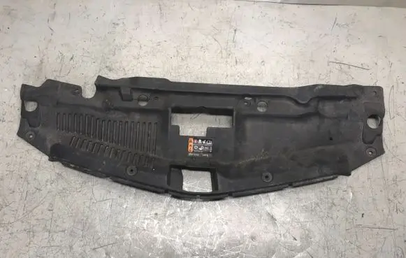 Engine bonnet/hood lock trim molding