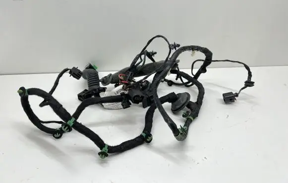 Porsche Panamera (971) Rear door wiring loom TAB052206 971971122 971971122B