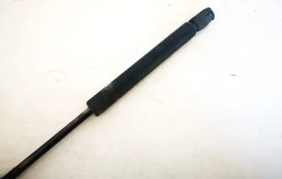 Tailgate/trunk strut/damper