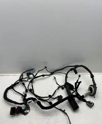 Front door wiring loom