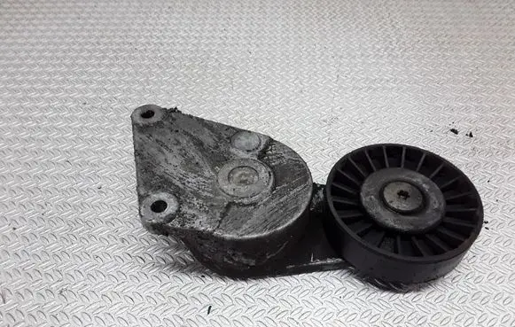 Peugeot 806 Generator/alternator belt tensioner