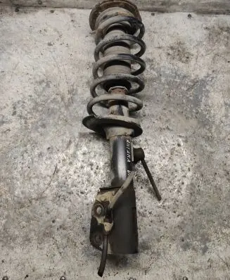 Opel Antara Front shock absorber with coil spring