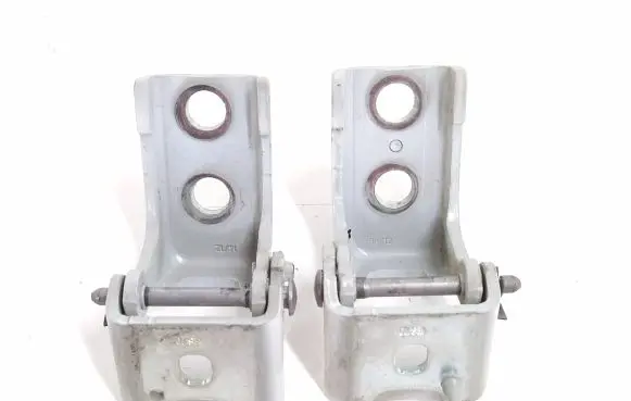 Citroen DS5 Front door hinge set 