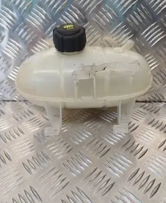 Renault Kangoo II Coolant expansion tank/reservoir 217101893R