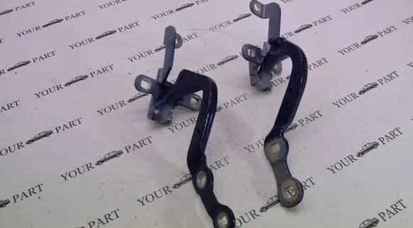 BMW X3 G01 Tailgate/trunk/boot hinge 7397316