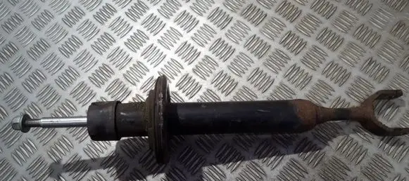 Volkswagen PASSAT B5 Front shock absorber/damper 3b0413031