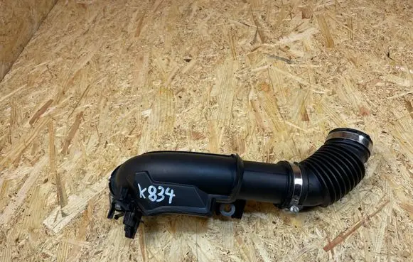 Nissan Juke II F16 Air intake duct part 165750995R