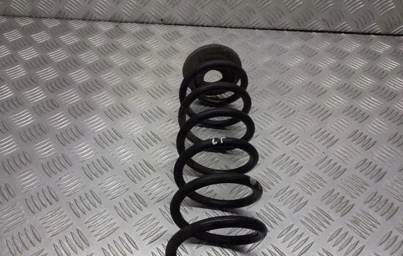 Skoda Octavia Mk2 (1Z) Rear coil spring