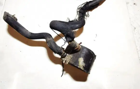 Citroen Xantia Engine oil radiator 