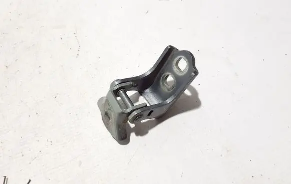 Rear door lower hinge