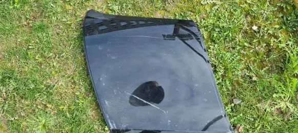 BMW i3 Rear door card panel trim 7296800