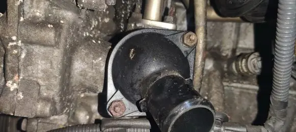 Toyota Yaris Engine coolant pipe/hose