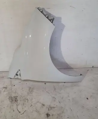 Renault Zoe Fender 
