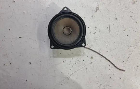 Rear door speaker