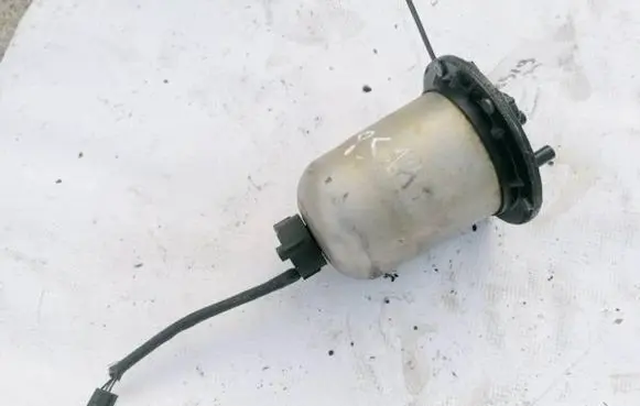 Renault Kangoo II Fuel filter 