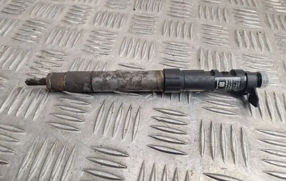 Citroen DS5 Fuel injector 9686191080
