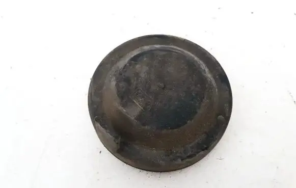 Headlight/headlamp dust cover