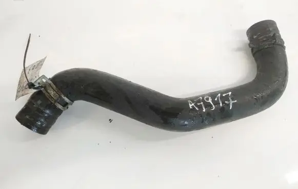 Fiat Ulysse Engine coolant pipe/hose